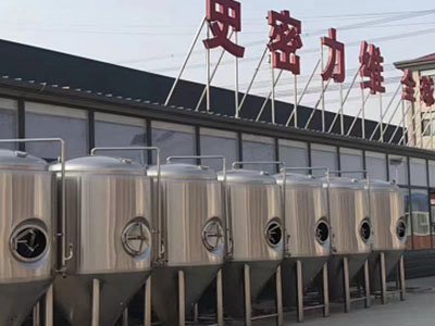 吕梁精酿啤酒设备厂—如何判断精酿啤酒设备的密封件需要更换?